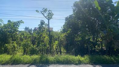 Segera Miliki Tanah Harga Ekonomis di Tegaldlimo, Banyuwangi