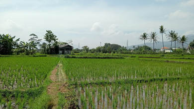 Dijual Tanah Premium di Paseh, Bandung, LT 2660m²