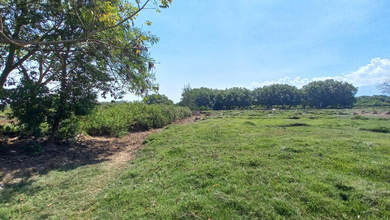 For Sale Tanah Eksklusif di Sangkaragung, Jembrana, LT 11200m²