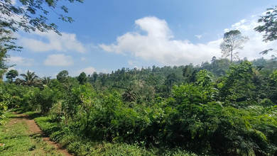 Kavling Prestisius Dijual di Ampelgading, Malang, Harga 1,5 Triliun