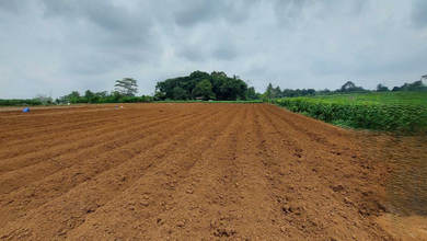 Kavling Prestisius Dijual di Ciseeng, Bogor, Harga 9,66 Triliun