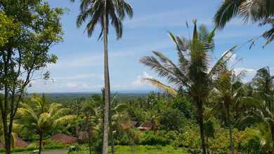 Tanah Luas 10500 m2 Area Strategis Selemadeg, Dijual Terjangkau