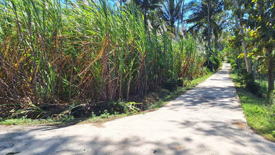 Kavling Prestisius Dijual di Dampit, Malang, Harga 1,06 Triliun