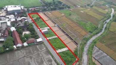 Tanah Ideal untuk Hunian di Dlanggu, Mojokerto, Luas 4555m²