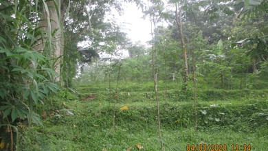 Kesempatan Tanah Murah di Prigen, Pasuruan, Luas 4011m²