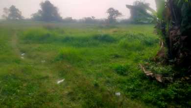 Tanah Elit Dijual di Sooko, Mojokerto, Harga 4,4 Miliar