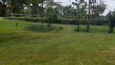 For Sale Tanah Eksklusif di Purwosari, Bojonegoro, LT 5m²