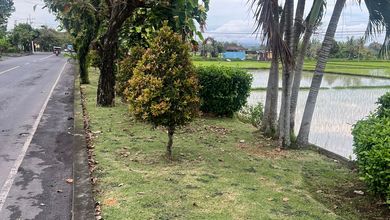 Tanah Elit Dijual di Jimbaran, Badung, Harga 7,08 Miliar