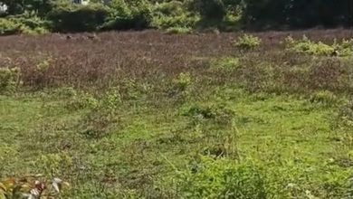 Dijual Kavling 500 m2 di Komplek Mewah Jimbaran