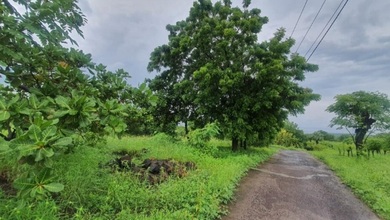 Kavling Prestisius Dijual di Karangasem, Karangasem, Harga 242 Triliun