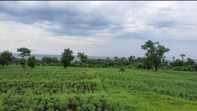 Tanah Strategis di Karangasem, Karangasem, Harga 39,5 Juta