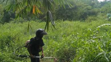 Dijual Tanah Strategis di Wagir, Malang, LT 3405m²