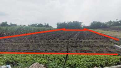 Tanah Harga Hemat di Mojokerto, Mojokerto, Harga 287 Juta