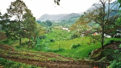 Kavling Prestisius Dijual di Trawas, Mojokerto, Harga 18,6 Triliun